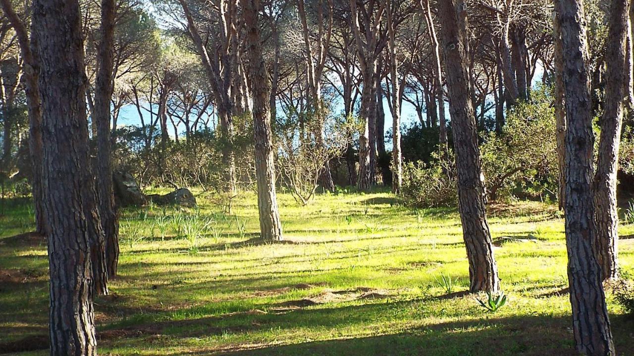 Villetta Con Giardino A Budoni Bagian luar foto